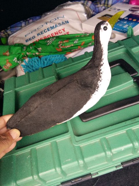Patung Decoy Burung Ruak2 Wak2 Shopee Malaysia