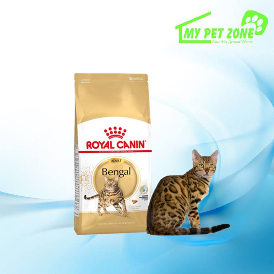 royal canin bengal cat food 10kg