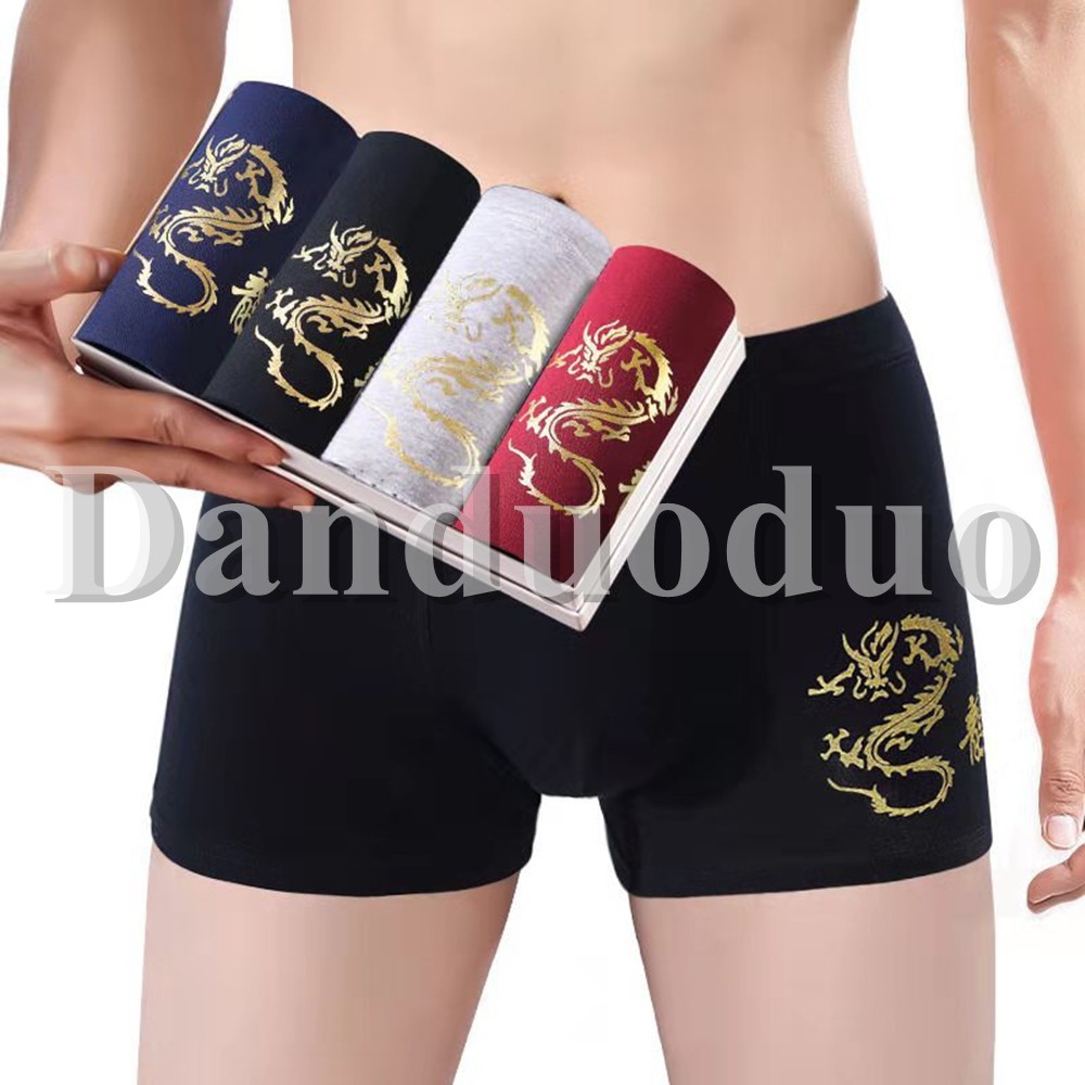 plus size panties for men