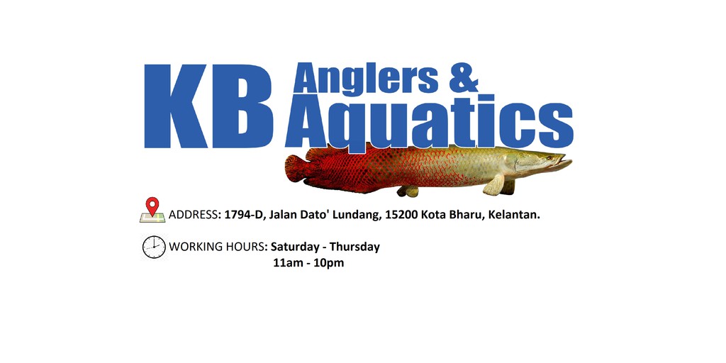 KB Anglers & Aquatics, Online Shop Shopee Malaysia
