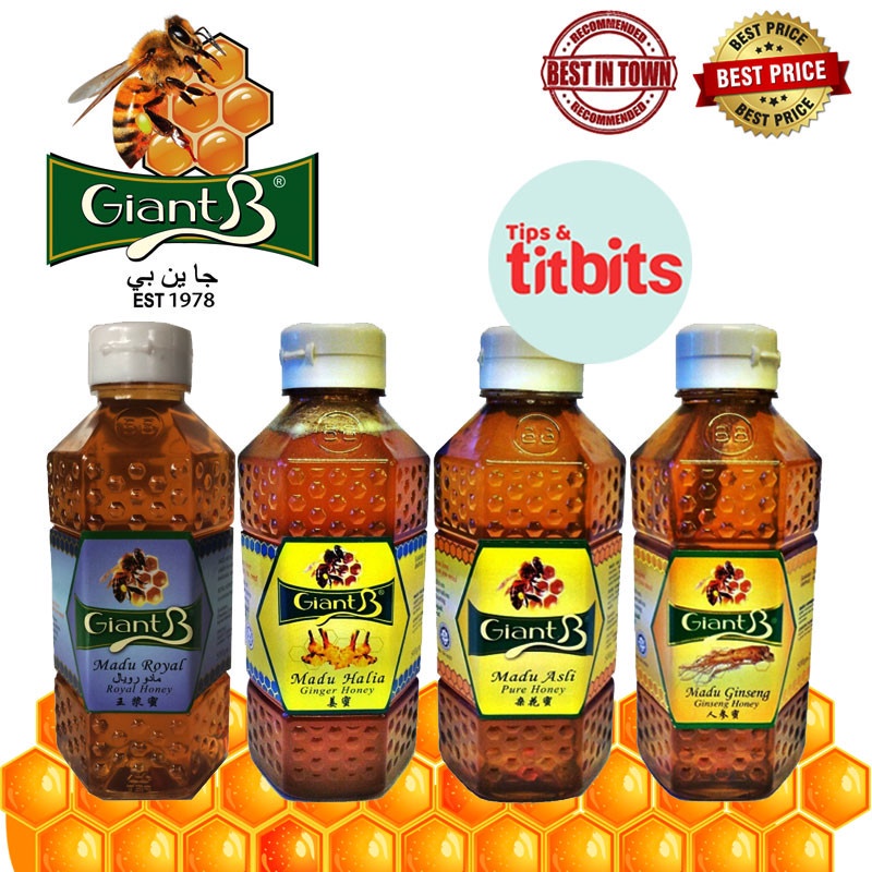 (Giant B Honey 500g) Ginger / Ginseng / Pure / Royal / 100% Original ...