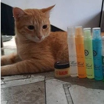 SPRAY KAKI KUCING LUKA GUNA IVMIST  Shopee Malaysia