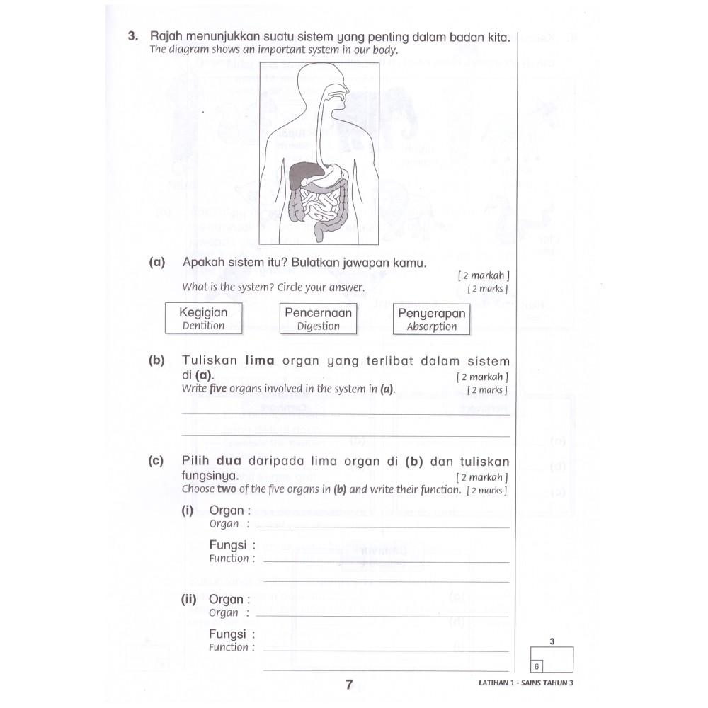 Jawapan Buku Teks Sains Tahun 3 Buku Aktiviti Sains Tahun 3 Buku Teks Sains Tahun 3 Dynadummyass
