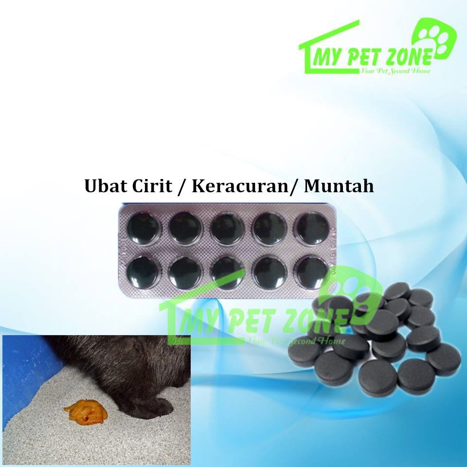 Anti Diarrhea Charcoal Tablet / Ubat Cirit / Keracunan 