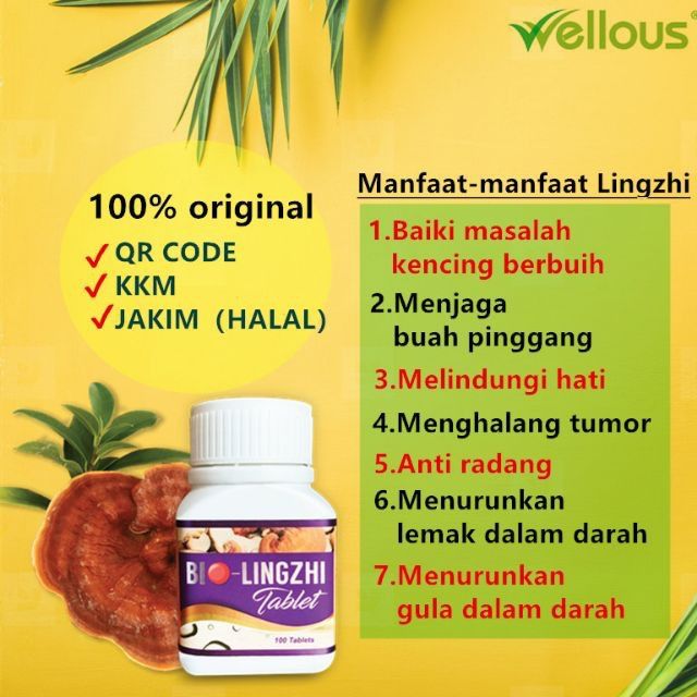 Ready Stock Bio Lingzhi Original Pilihan Yg Shopee Malaysia