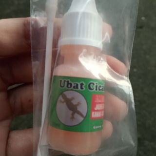 RaCun CicaK LiZard ⭐⭐⭐  Shopee Malaysia