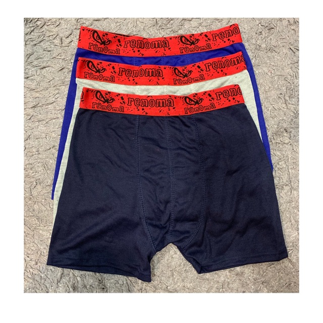 renoma boxer