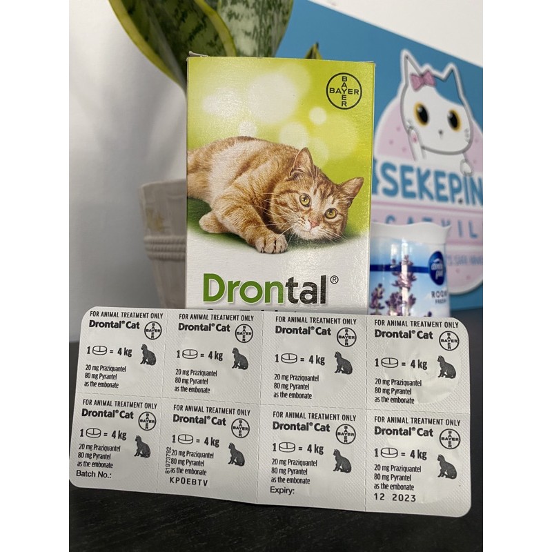 Drontal Ubat Cacing Kucing 1 Biji Shopee Malaysia