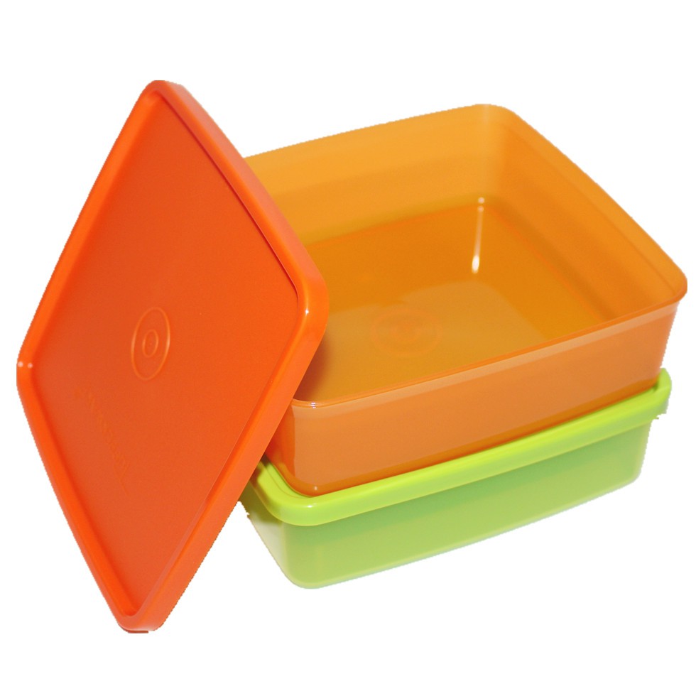TUPPERWARE KID LUNCH BOX BLUE 1PC 620ml (no orange no green) | Shopee