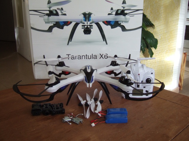 tarantula x6