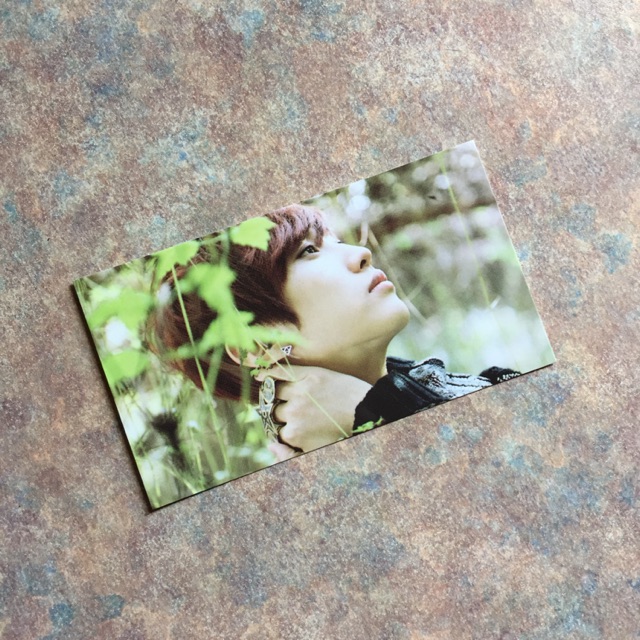 B1a4 Jinyoung In The Wind Official Korean Album Photocard Shopee Malaysia