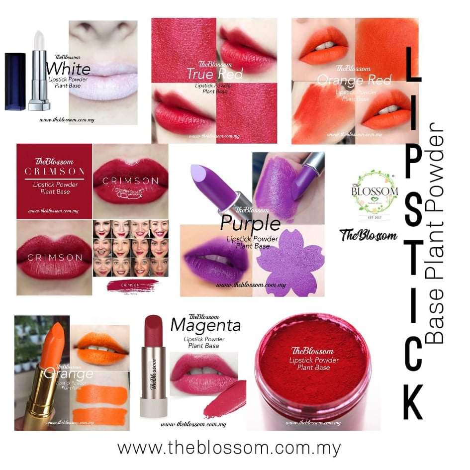 Lipstick Edible Pigment Coloring Powder/ Lipstick Colouring/ DIY