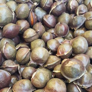 Jering Tua 2kg Rm20 Ready Stock Promotion Shopee Malaysia