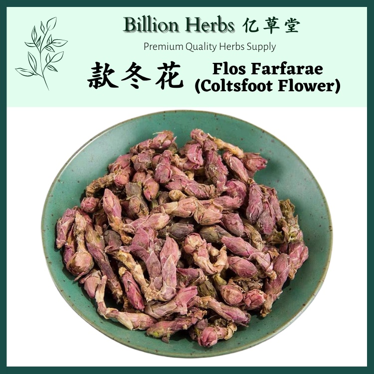 亿草堂款冬花款冬冬花津东花flos Farfarae 100g Coltsfoot Flower 中药材chinese Herbs 中药中草药草药药材 Shopee Malaysia