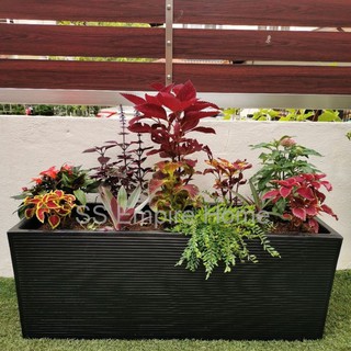 Garden line planter box