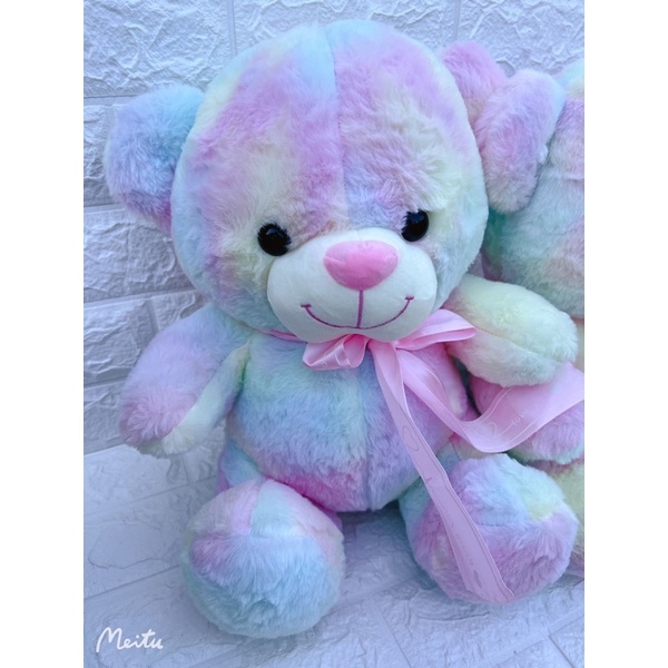 ???Rainbow Teddy Bear plush toy