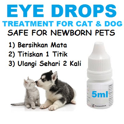 Ubat Mata Kitten Puppy Newborn Kucing Ubat Mata Kucing Anjing 5ml Cat Dog Eye Drops