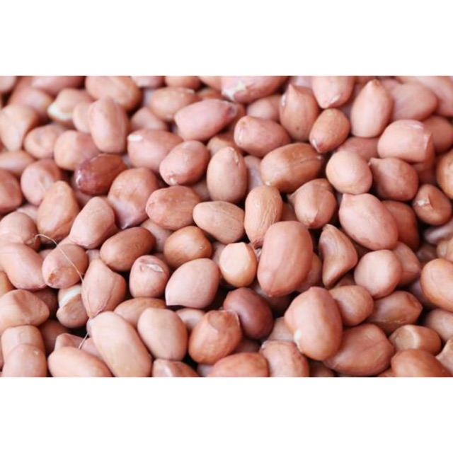 中国山东 花生仁0g 花生 Shandong Peanut Kacang