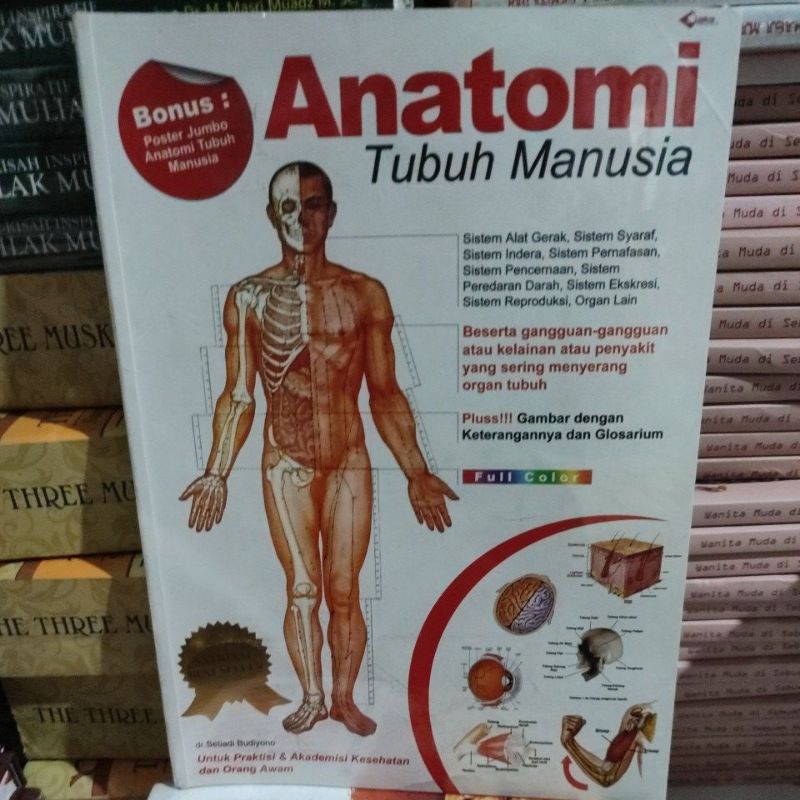 Human Body Anatomy. p1d Shopee Malaysia