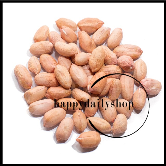 Buy 500g Big Chinese Peanut 大中国花生 Seetracker Malaysia