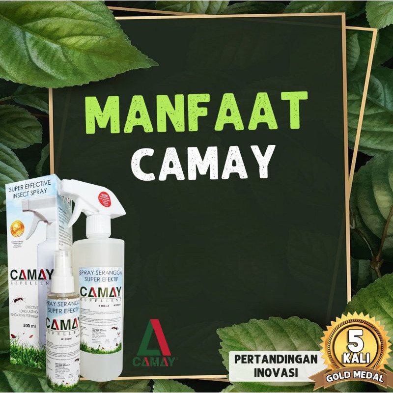 Buy SPRAY SERANGGA SUPER EFEKTIF, TIADA BAHAN KIMIA (kutu Kepala 