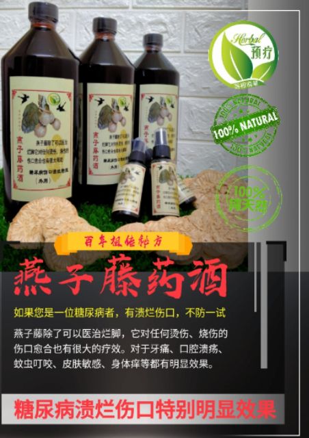 燕子藤图片