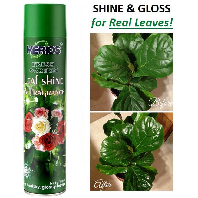 Spray Can Leaf Shine Spray Pengilat Kilat Daun 650ml Shopee Malaysia