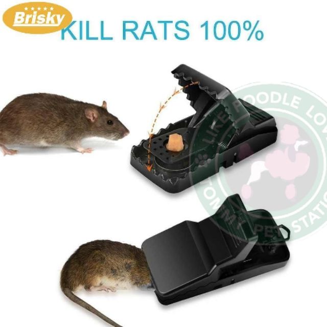 Ready Stock Mouse Trap Rat Trap tikus mouse trap | Shopee Malaysia