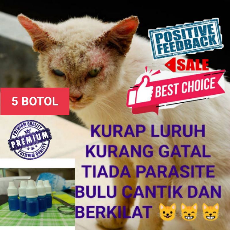 UBAT KURAP/KUTU/CACING/MASALAH BULU KUCING/ARNAB (5botol x 5ml 