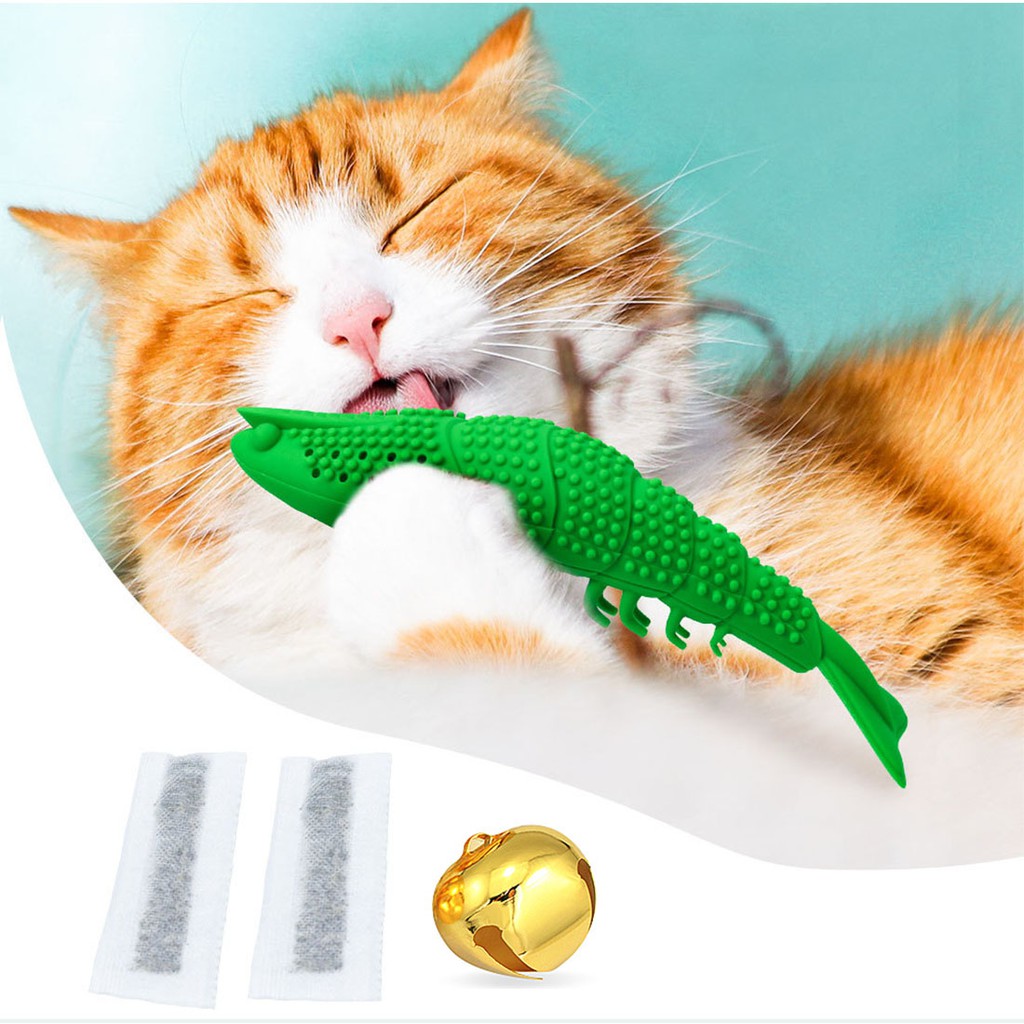 chew toys for cats teeth