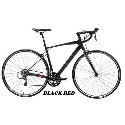 raleigh race bike
