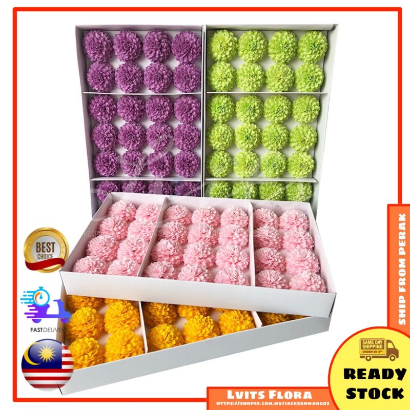 Readystock 1pcs Pompon Mum Pot Mum Pingpong Chrysanthemum Soap Flower Head 乒乓菊花头香皂花永生花 Shopee Malaysia