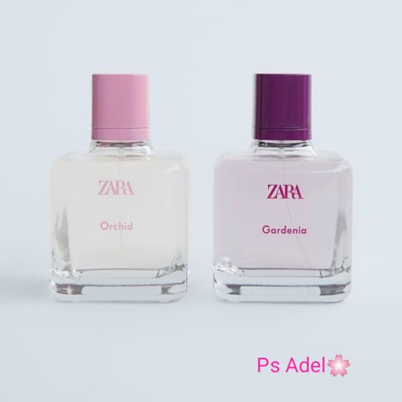 Top 76+ imagen zara parfum gardenia dupe fr.thptnganamst.edu.vn