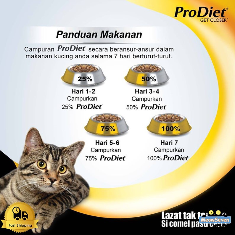 Buy Prodiet kucing makanan murah Dry Cat Food 8KG -(Ocean Fish 