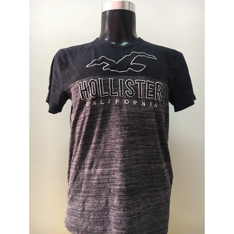 hollister usa