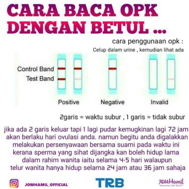 Ovulation Lh Test Strip Opk Ujian Kesuburan Strip Alat Ujian Kesuburan Shopee Malaysia