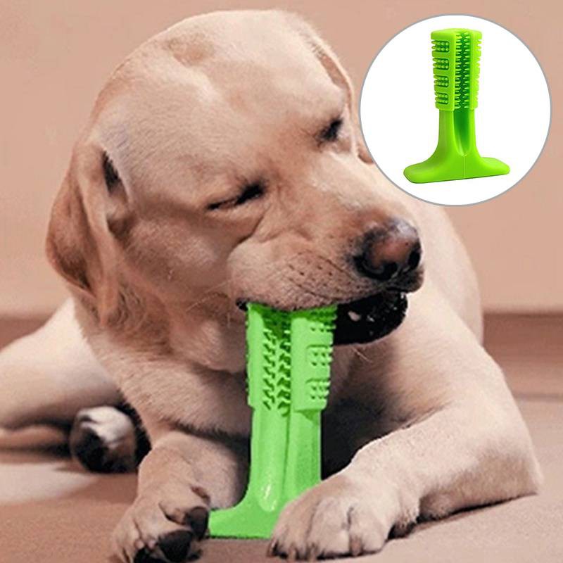 bristly brushing stick for dogs