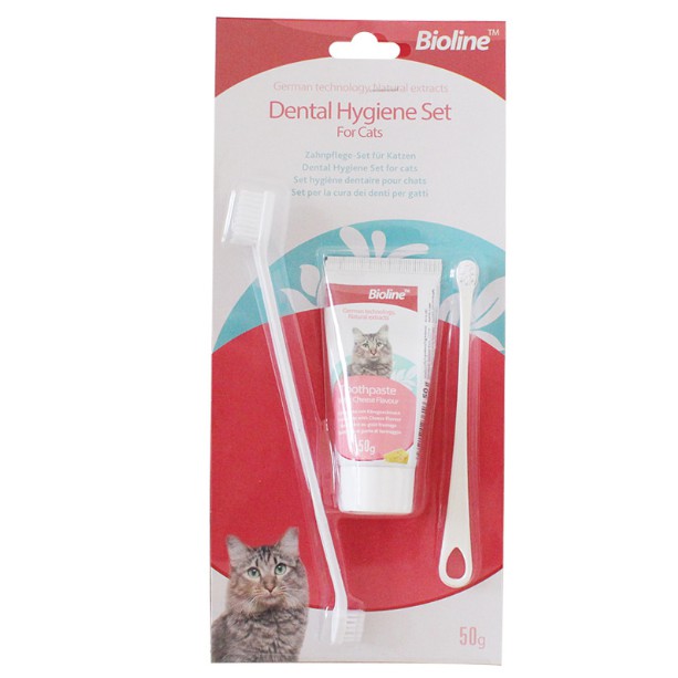 feline toothbrush and toothpaste