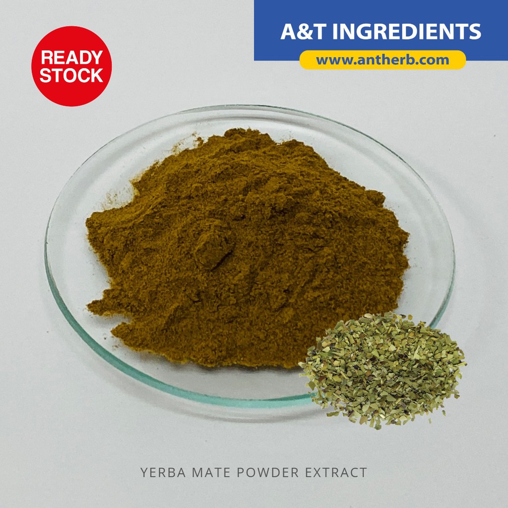 yerba-mate-powder-extract-serbuk-ekstrak-yerba-mate-halal-certified