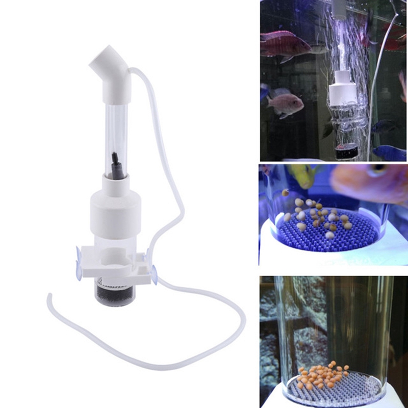 aquarium egg tumbler