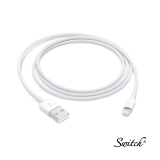 Image of Apple Lightning to USB Cable (1 m)