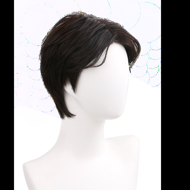 2021 New Style 100% Real Human Hair Wigs Mens Short Full Wig Hairpiece  Toupees For Man Gift for Father | Shopee Malaysia