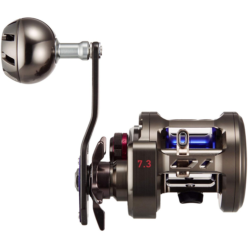 Daiwa Saltiga BJ 200Sh Import Japan | Shopee Malaysia