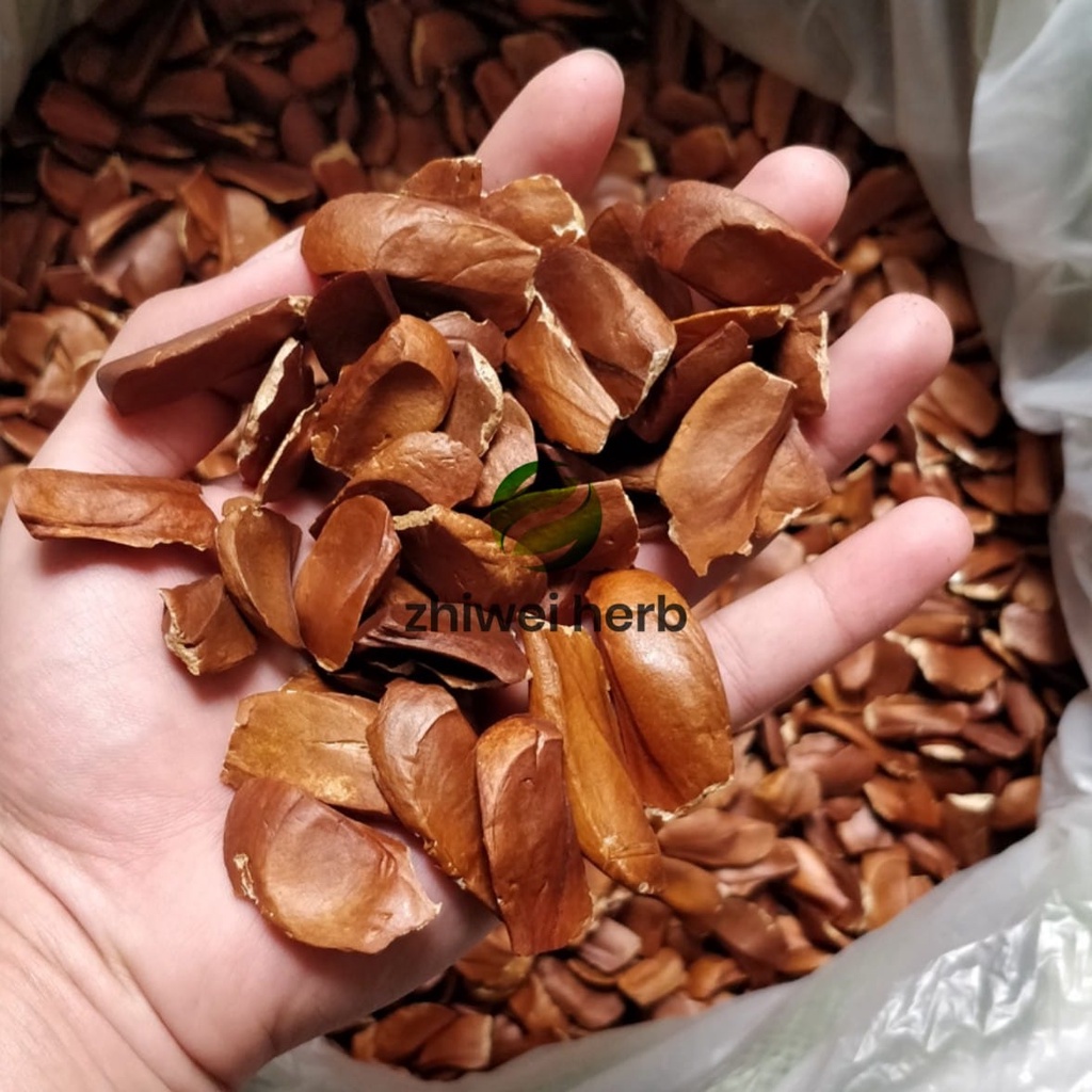 100gram Buah Tunjuk Langit Original 向天果 Sky Fruit Dried Mahogany (Buah Tunjuk langit) Fructus Swietenia Macrophylla