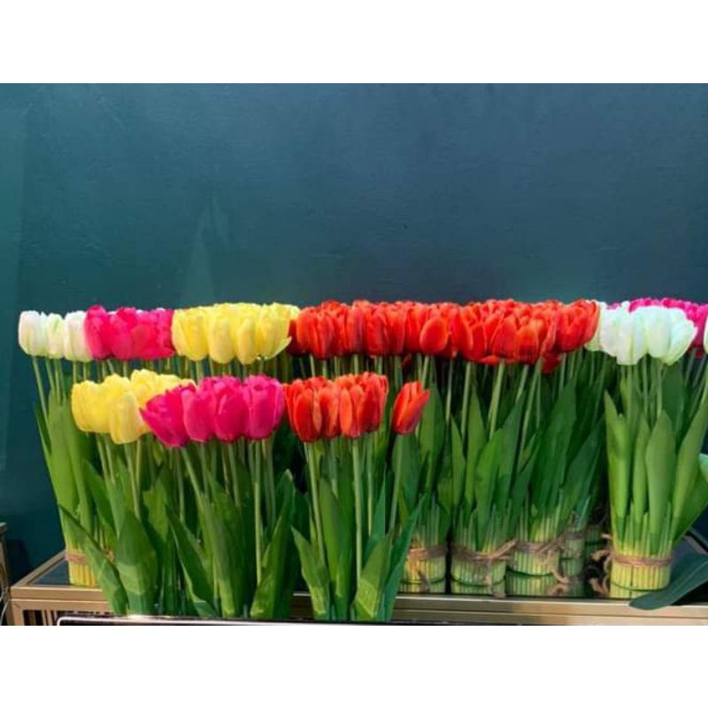 Tulip bunga Gerak Yang