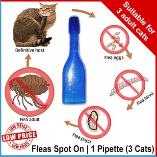 Cat Flea Drop  Ubat Kutu Kucing  Berkesan Sepantas 2-3 