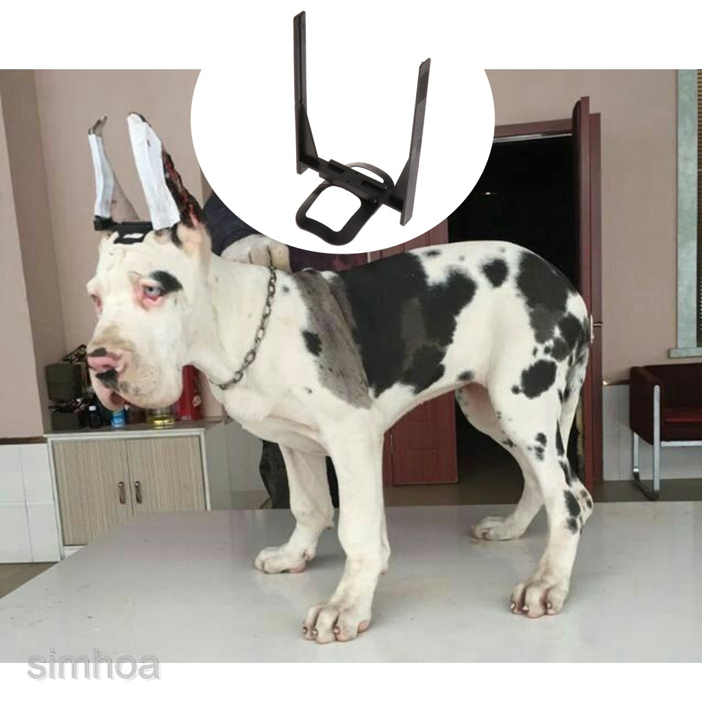 Pet Ear Care Tool Ear Stand Up For Doberman Pinscher Dog Doberman