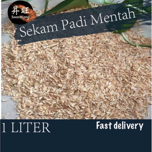 [1 Liter] Sekam Padi Mentah |Sekam Padi Bakar |稻米壳灰 | Rice Husk Burn RIce Husk | Paddy Rice Husk |Media Tanaman