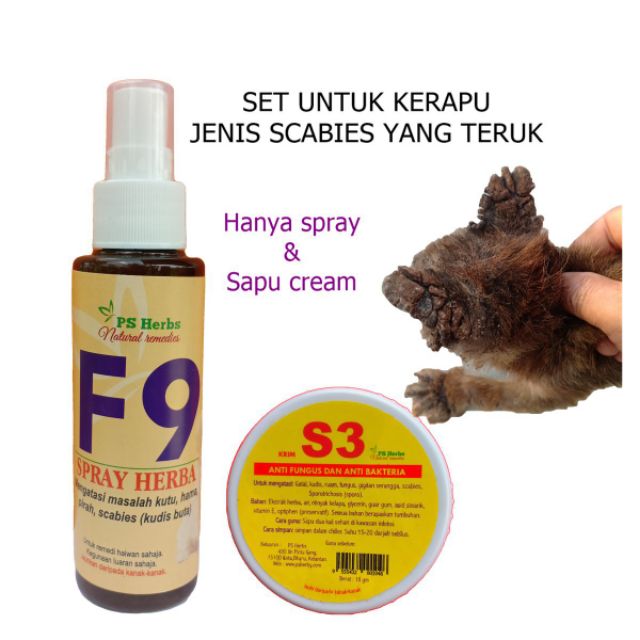 Readystok Ubat kucing SET UNTUK PENYAKIT KERAPU  kurap JENIS 