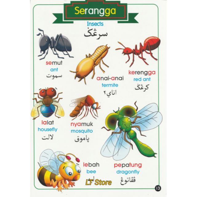 Nyamuk dalam bahasa arab